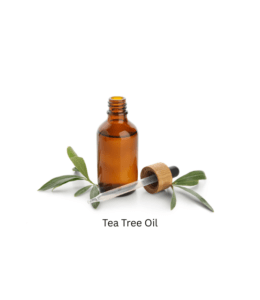 Tea Tree Oil Tea Tree Oil