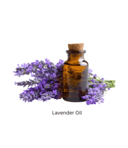 Lavender Oil Lavender Oil