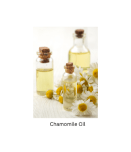 Chamomile Oil Chamomile Oil