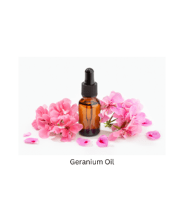 Geranium Oil Geranium Oil