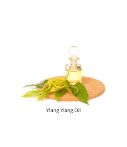 Ylang Ylang Oil Ylang Ylang Oil